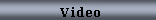 Text Box:               Video